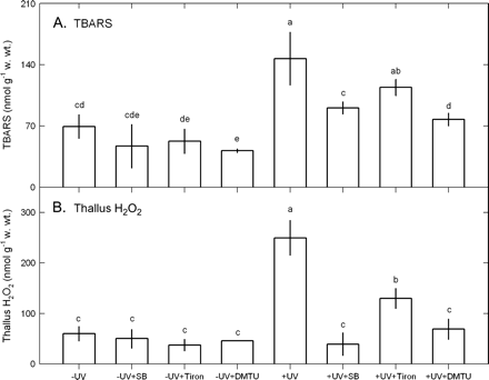 Effects of 10 mM SB, 100 μM Tiron, or 100 μM DTMU on the contents of TBARS (A) and thallus H2O2 (B) in Ulva fasciata on exposure to UV-B (2.5 W m−2). Data are present as means ±SD (n=3) and different letters indicate significant difference among treatments.