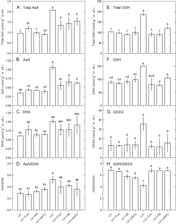Effects of 10 mM SB, 100 μM Tiron, or 100 μM DTMU on the contents of total AsA (A), AsA (B), and DHA (C), the ratios of AsA/DHA ratio (D), the contents of total glutathione (E), glutathione (F), and glutathione disulphide (G), and the ratios of glutathione/glutathione disulphide (H) in Ulva fasciata on exposure to UV-B (2.5 W m−2). Data are present as means ±SD (n=3) and different letters indicate significant difference among treatments.