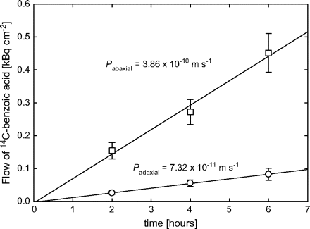 Uptake of radiolabelled benzoic acid into intact ivy (Hedera helix) leaves. The donor solution was applied to either the adaxial (circles) or abaxial leaf surface (squares). The permeances to benzoic acid (Pi with i=adaxial or abaxial) were calculated from the slopes (Bq m−2 s−1) divided by the driving force across the cuticle, i.e. the concentration C (Bq m−3) of undissociated acid in the donor solution, which was calculated as C=Ctotal/(1+104.2–pH) with Ctotal being the overall concentration of dissociated and undissociated benzoic acid at pH=3.0. Permeance to water vapour (Pwv in m s−1) at 25 °C and standard pressure, referenced to the gas phase as in much of the relevant literature, can be estimated from these data by the following equation: Pwv=43384×10(0.86×logPi–1.32), where the term in the exponent represents the empirical relationship (Niederl et al., 1998) between water permeance (referenced to the liquid phase) and benzoic acid permeance Pi, and the pre-exponential factor, the ratio of water density in the liquid phase and its saturation concentration in the gas phase at 25 °C (Becker et al., 1986).