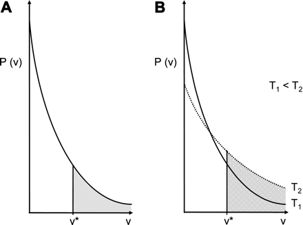 Exponential hole-size distribution of a polymer matrix as affected by temperature (modified according to Lieb and Stein, 1972). (A) The distribution function provides the probability (P) of finding a free-volume hole of a specific size (v*) at a given temperature (T). v* is the minimum volume hole size into which a molecule can jump. The diffusion coefficient is considered to be proportional to the probability of finding a hole of volume v* or larger. (B) Increasing temperature increases the overall free volume available for migration (shaded area).