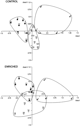 Principal components analyses performed using the 12 variables measured in all the 21 species studied, for both non-enriched (Control, upper panel) and nutrient-enriched thalli (lower panel). Species numbered as in Table 1. Curved lines were arbitrarily drawn to delimit regions for each phylum. Loading factors and percentage of variance for each axis are shown in Table 7. (filled squares) Chlorophytes; (open circles) Rhodophytes; (filled triangles) Phaeophytes.