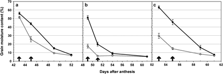 Experiment 3: grain moisture content. Effect of DIC Gpc-B1 on grain moisture content in isogenic lines of hexaploid wheat Anza (a) and RSI5 (b), and tetraploid wheat Kofa (c). Moisture content was measured from 42 to 60 DAA depending on the variety. Black lines with filled squares represent the original recurrent parent, and grey lines with open diamonds represent the corresponding isogenic line with the DIC Gpc-B1 allele. Significant differences (P <0.05) between isogenic pairs are represented by arrows on the corresponding date. Error bars are SEMs.