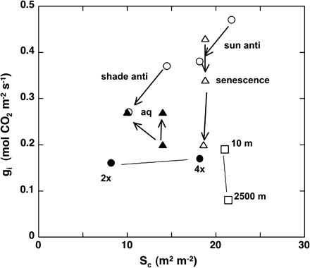Effects of environmental manipulations, genetic manipulations, and senescence on the Sc versus gi relationship. Open circles, tobacco plants expressing antisense Rubisco small subunits (Evans et al., 1994); solid triangles, rice plants over-expressing barley aquaporin (Hanba et al., 2004); open triangles, senescing wheat leaves (Evans and Vellen, 1996); solid circles, diploid and artificially induced autotetraploid of Phlox drummondii Hook. (P Vyas et al., unpublished observation); open squares, alpine and low land Polygonum cuspidatum Sieb. et Zucc. (Kogami et al., 2001).