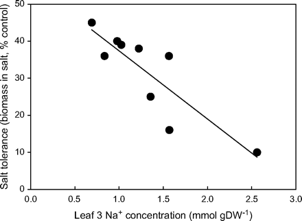 Relationship between salinity tolerance (% growth of controls) and leaf Na+ concentration in durum wheat (Triticum turgidum ssp. durum) selections. Na+ concentrations were measured on leaf 3 after 10 d in 150 mM NaCl and shoot biomass after 24 d. Values are expressed as a percentage of shoot biomass in control conditions (r2=0.74). All values are means (n=5). Reproduced from Munns and James (2003), with kind permission of Springer Science and Business Media.