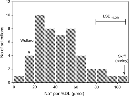 Frequency distribution of Na+ content per percentage dead leaf of 47 tetraploid wheat selections, grown in 150 mM NaCl for 21 d. The bars represents LSDs at P=0.05 for selection comparisons. Reproduced from Munns and James (2003), with kind permission of Springer Science and Business Media.