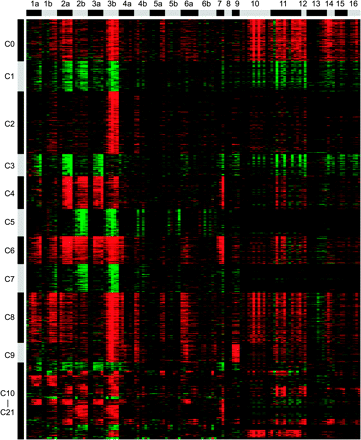 Clustering of 1143 salt-regulated genes. Each row represents a gene, while each column represents an experiment. The code for the experiments are: 1, cold stress; 2, osmotic stress; 3, salt stress; 4, drought stress; 5, oxidative stress; 6 wounding stress. For the experiments 1 to 6, a represent shoots, while b identifies roots. For 1a to 5b, the time points are, from left to right, 0.5, 1, 3, 6, 12, 24 h, while for 6a and 6b, time points are 0.25, 0.5, 1, 3, 6, 12, 24 h. The numbers 7, 8, 9 represent experiments with ABA, ACC, and MeJA treatments, respectively, for 0.5, 1, and 3 h in each case. Number 10: bacteria-derived elicitors treatment, which are MgCl2+CaCl2, GST, Harpin Z, GST-necrosis-inducing Phytophthora protein 1, flagellin and lipopolysaccaride, for 1 h and 4 h, respectively. Number 11: Pseudomonas syringae pv. tomato (Pst) DC3000, Pst avrRpm1, Pst DC3000 hrcC- and Pseudomonas syringae pv. phaseolicola, for 2, 6, and 24 h. Number 12: Botrytis cinerae treatment for 18 h and 48 h. Number 13: Erysiphe orontii treatment for 6 h, 12 h, 24 h, 2 d, 3 d, 4 d, and 5 d. Number 14: Phytophthora infestans treatment for 6, 12, and 24 h. Number 15: Pseudomonas syringae ES4325 avrRpt2 treatment for 4, 8, 16, 24, and 48 h. Number 16: Pseudomonas syringae ES4325 treatment for 4, 8, 16, 24, and 48 h. C0 through C21 identify clusters 0 through 21 after fuzzy k-means analysis.