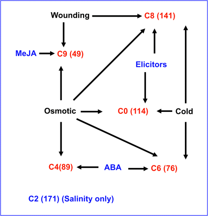 Clusters of salt induced genes. The salt-induced genes could be divided into six clusters, C0, C2, C4, C6, C8, and C9 with the number of genes affected listed in parentheses. Represented are cross-talks and connections between high salinity and other factors that can represent stress. Induced expression is indicated by arrows connecting treatment and cluster.