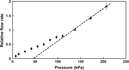 Relationship between the externally applied pressure and resulting flow rate of xylem sap through detached sunflower root systems. Each point represents the mean of six independent replicates, error bars represent 2 SE. At pressures above 100 kPa the pressure:flow relationship was linear, indicating that the osmotic component of the driving force (i.e. flow due to root pressure) was negligible. All further measurements on detached root systems were conducted using an externally supplied pressure of 175 kPa.