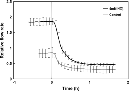 Relative flow rate of water through detached roots of sunflower plants when challenged with anoxia. One set of plants received 5 mM nitrate several hours before the anoxic treatment, while the second group of plants served as control. An externally applied hydrostatic pressure of 175 kPa was used to generate the measured flow. Data were normalized relative to the flow rate at the time of nitrate application. Each line represents the mean of three plants; error bars represent 2 SE.