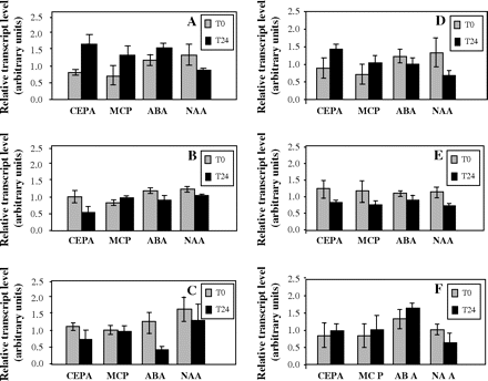 Transcript profiling of VvRops in suspension cells from Cabernet Sauvignon after different treatments. VvRop transcript levels were normalized to the EF1-α transcript level used as an endogenous reference (for correcting results from differing amounts of input RNA), and expressed as arbitrary units (bars=SD). (A) VvRop1; (B) VvRop8; (C) VvRop9; (D) VvRop11; (E) VvRop12; (F) VvRop13. No VvRop7 expression was detected in suspension cells.