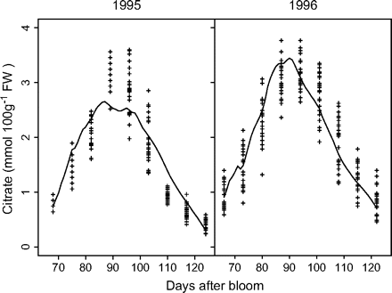 Measured and simulated citrate concentrations by the citrate model (equation 5) for cv. Fidelia during the 1995 and 1996 seasons (data Set I). Crosses represent repetitions of the measurements, and solid lines simulated citrate evolution.