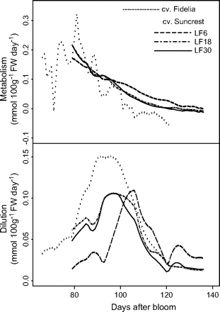 Simulated seasonal variations in the components of citrate concentration (equations 12 and 13). The components are citrate metabolism and dilution. The analysis was performed using the data of cvs Fidelia and Suncrest during the 1996 season. The labels LF6, LF18, and LF30 indicate the leaf:fruit ratio.