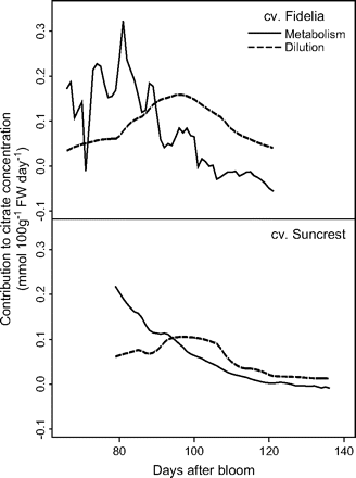 Simulated contributions of citrate metabolism and dilution to citrate concentration. The analysis was performed on the data of cv. Fidelia using equation 12 and cv. Suncrest using equation 13 during the 1996 season. For cv. Suncrest only results on the leaf:fruit ratio 18 (LF18) treatment are shown.
