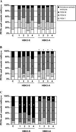 Percentage composition of cell aggregates observed in the control (c) line, sense lines (HBK3-S), and antisense lines (HBK3-A) during the initial phases of embryo development. (A) At day 7 in maintenance (+PGR) medium a similar embryo composition was observed among all lines, and the percentage of PEMsIII was predominant compared with that of other cellular aggregates. (B) After 3 d in hormone-free medium (–PGR) the formation of immature somatic embryos from PEMsIII increased in the control line and lines overexpressing HBK3 (HBK3-S). No increase was observed in the lines down-regulating HBK3 (HBK3-A). (C) Production of somatic embryos from PEMsIII continued to increase in both control and HBK3-S lines in the absence of PGRs at day 7 (Fig. 3C). This increase was more pronounced in all the four HBK3-S lines. The percentage of somatic embryos remained low in all HBK3-A lines. PEM, pro-embryogenic masses. Each value is the average of three independent replicates. More than 1000 cell structures were counted for each replicate. Asterisks indicate values that are statistically different (P ≤0.01) from control values.
