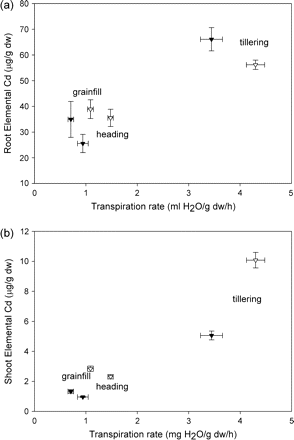 Elemental Cd in roots (a) and shoots (b) of Triticum turgidum cv. Arcola (filled triangles) and Kyle (open triangles) that had been exposed continuously to elemental Cd prior to the study. Each symbol is a mean value of the observed transpiration rate and the concomitant Cd concentration; the horizontal standard error (SE) bar is for transpiration, and the vertical SE bar is for Cd concentration.