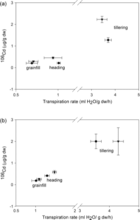 106Cd concentrations in roots of Triticum turgidum cv. Arcola (a) and Kyle (b) at tillering, heading, and grainfill life stages for plants that had been pre-exposed (triangles) or not pre-exposed (circles) continuously to elemental Cd prior to the study. Each symbol is a mean value of the observed transpiration rate and the concomitant Cd concentration; the horizontal standard error (SE) bar is for transpiration, and the vertical SE bar is for Cd concentration.