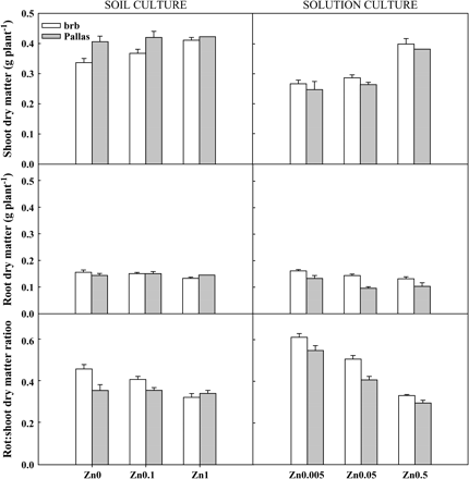 Shoot dry matter, root dry matter, and root:shoot dry matter ratios in brb and Pallas grown in a Zn-deficient soil (left) and a nutrient solution (right) supplied with different levels of Zn. The vertical bars represent standard errors based on five and four replicates in soil and solution culture, respectively.