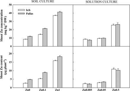 Shoot Zn concentration and Zn content in brb and Pallas grown in a Zn-deficient soil (left) and a nutrient solution (right) supplied with different levels of Zn. The vertical bars represent standard errors based on five and four replicates in soil and solution culture, respectively.