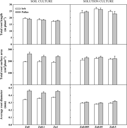 Total root length, root surface area, and average root diameter in brb and Pallas grown in a Zn-deficient soil (left) and a nutrient solution (right) supplied with different levels of Zn. The vertical bars represent standard errors based on five and four replicates in soil and solution culture, respectively.