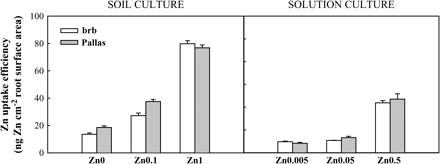 Zn uptake efficiency (ng Zn cm−2 root surface area) in brb and Pallas grown in a Zn-deficient soil (left) and a nutrient solution (right) supplied with different levels of Zn. The vertical bars represent standard errors based on five and four replicates in soil and solution culture, respectively.