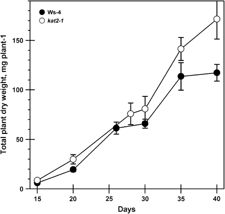 Total plant dry weight accumulation during plant development. The dry weights of all components from individual plants were combined at each harvest for both wild-type and kat2-1 plants. All data represent the mean ±SE (n=10).