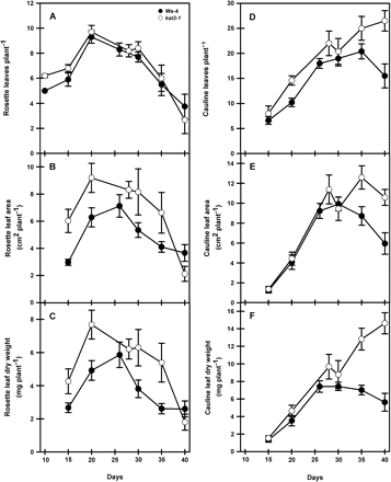The development of rosette and cauline leaves during whole plant growth. At each harvest, rosette and cauline leaves from individual plants were collected, and leaf number, area, and dry weight were recorded. All data represent the mean ±SE (n=10).