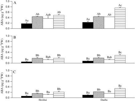 The ABA content in needles (A), stems (B), and roots (C) in two contrasting P. asperata populations as affected by an exogenous ABA application. Heishui, the population from a wet climate region; Danba, the population from a dry climate region. The lower case letters refer to differences within traits between the treatments. The capital letters refer to differences in the ABA content between the organs under the same treatments within the same population. The values not sharing the same letters are significantly different (P <0.05) according to Tukey's test. The vertical lines represent SE. The values are means ±SE, n=5. Treatments: non-ABA application+well-watered (black area), non-ABA application+water deficit (diagonal lined area), ABA application+well-watered (white area), ABA application+water deficit (transverse lined area).