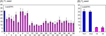 Metal concentration of 35S-OsZIP4 seeds. (A) Zn concentration of the VC and T1 35S-OsZIP4 (mean ±SD, n=3). (B) Zn concentration of the VC and T2 35S-OsZIP4 (18, 34) (mean ±SD, n=6).