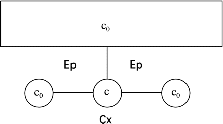 Sketch of the apoplastic geometry used in Appendix 1. The large rectangle at the top denotes the exterior fluid with dye concentration c0. Smaller circles are three adjacent apoplastic spaces, with the centre one bleached, having concentration c. Lines connecting fluid reservoirs are cell walls. Ep and Cx denote epidermis and cortex, respectively.