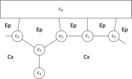 Sketch of the apoplastic geometry used in Appendix 2. All symbols are as in Fig. 1.1.