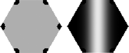 Left: hexagonal simulation domain used in the program HexDiff. The concentration at each corner (black) is fixed to a constant value, due to CF in the apoplastic spaces. Right: CF concentration in the domain immediately following a simulated bleach. Black denotes the highest concentration. The laser passes vertically from the top to the bottom of the domain.