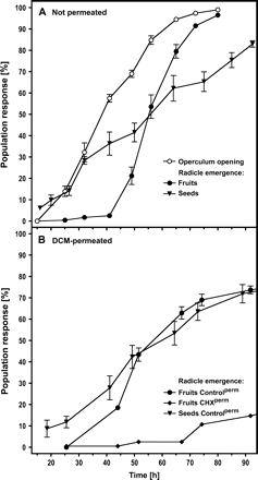 Time-courses of visible events during the germination of Beta vulgaris. (A) Population responses of fruits and (botanically true) seeds. Fruits: triplicates of 100 fruits incubated at 15 °C in the dark were scored over time and the percentage of operculum opening (ovary cap lifting; Fig. 1B, E) and radicle protrusion (completion of seed germination; Fig. 1C, D, F, G, H) of the fruit populations were calculated. Seeds: Triplicates of 25 seeds were scored for radicle protrusion. Mean values ±SE of three (fruits) and six (seeds) independent experiments are presented. SE values <1.5% are not drawn. (B) Population responses of DCM-permeated fruits and seeds. Dry fruits were permeated with dichloromethane (DCM; Controlperm) or DCM plus cycloheximide (CHXperm). Scoring, conditions, and statistics of one (fruits) and two (seeds) independent experiments as in (A).
