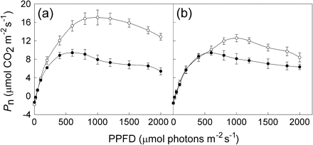 Mean net photosynthetic rates (Pn, mean ±SE, n=6) at different photosynthetic photon flux densities (PPFD) for the 1st (a) and 8th (b) fully expanded mature leaves of M. micrantha plants. Open circles, uninfected plants; closed circles, M. micrantha plants infected by C. campestris.