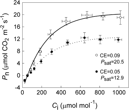 Response of net photosynthetic CO2 assimilation (Pn) to intercellular CO2 concentration (Ci) in the 8th fully expanded mature leaves of the uninfected (open circles) and infected (closed circles) M. micrantha plants by C. campestris. Data points are means ±SE, n=6.