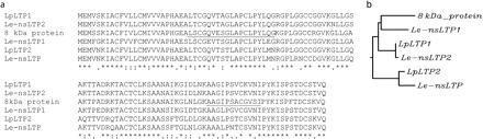Clustal W (1.83) multiple sequence alignment and phylogenetic tree of all presently identified LTP proteins of Lycopersicon species in the public database. (a) Sequence alignment of LpLTP1 (AAB07486.1), Le-nsLTP2 [P27056 and identical to CAA39512.1 (TSW12) and S20862], Le-nsLTP1 [P93224 (LE16) and identical to TO7626, AAB42069, and CAJ19706.1], LpLTP2 (AAB07487.1), and Le-nsLTP (CAJ19705.1). The deduced amino acid sequence of the purified 8 kDa protein is underlined, illustrating its unique sequence. (b) Phylogenetic tree of the aligned amino acid sequences of tomato LTPs.
