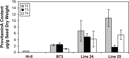 Provitamin A content of T2, T3, and T4 seeds from transgenic maize lines 24 and 25. HPLC analyses were conducted on pooled samples of 20 T2, T3, and T4 seeds of individual maize lines, respectively. Data shown represent the average provitamin A content (±SD) of seeds from 3–8 ears for each line.