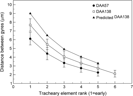 Distance between gyres of tracheary elements as a function of rank (early to late) within peripheral bundles at 57 DAA and 138 DAA and a predicted value for DAA 138 based on berry diameter increase from DAA 57 (Fig. 2A). Data are means ±SD, n=30 bundles.