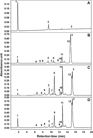 HPLC-PDA analysis of carotenoids in the B. napus seeds. Maxplot chromatograms from (A) untransformed seeds, (B) seeds of the transgenic line 1a5b, (C) seeds of the transgenic line 1a5c, and (D) seeds of the transgenic line 1b5c are exhibited. The peaks correspond to the following: 1, solvent front; 2, lutein; 3, β-carotene; 4, astaxanthin; 5, adonixanthin; 6, adonirubin; 7, 3′-hydroxyechinenone; 8, canthaxanthin; 9, 3-hydroxyechinenone; 10, β-cryptoxanthin; 11, echinenone; 12, α-carotene.