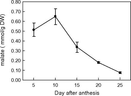 Changes of malate content during cotton fibre elongation in G. hirsutum L. (Gh). Each value is the mean ±SE of three replicates.