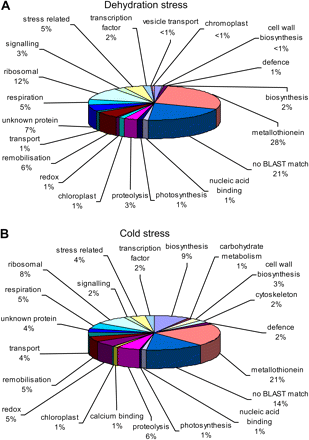 Functional analysis of all ESTs derived from (A) dehydration-stressed (6 h or 48 h followed by 3 h refreshment) and (B) cold-stressed (3 d cold treatment followed by a 3 h or 24 h refreshment period) cDNA libraries.