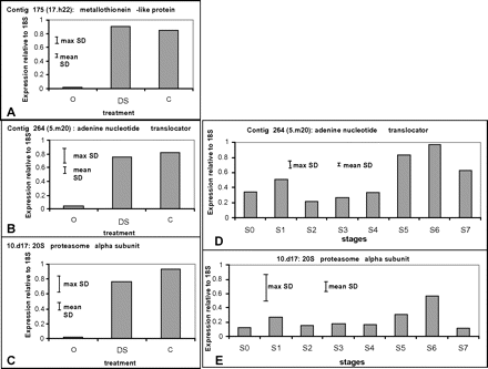 Real-time qPCR of three genes to analyse their expression following stress treatments (A, B, and C) and throughout development and senescence from stage S0 (closed bud) to stage S7 (petal abscision) (D and E). (A) Metallothionein, (B) and (D) adenine nucleotide translocator, (C) and (E) 20S proteasome α subunit. O is unstressed flowers at stage S0, C is 3 d cold treatment followed by a 3 h refreshment period, and WD is ambient dehydration stress of 48 h followed by a 3 h refreshment period. Each experiment was repeated on a second biological replicate with similar results. Maximum and minimum SDs for each experiment are shown.