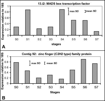 Real-time qPCR of two transcription factors to analyse their expression throughout development and senescence from stage S0 (closed bud) to stage S7 (petal abscission) (A) MADS box transcription factor and (B) zinc finger (C2H2 type) family protein. Each experiment was repeated on a second biological replicate with similar results. Maximum and minimum SDs for each experiment are shown.