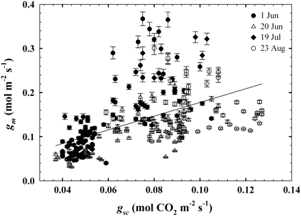 The relationship between stomatal conductance to CO2 (gsc) and mesophyll conductance (gm) across all four measurements dates (gm=1.55gsc+0.022; P <0.0001, r2=0.27). Error bars represent 1 SE.