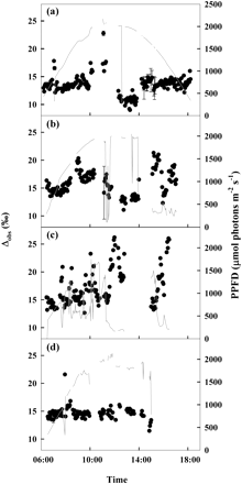 Diurnal variation in carbon isotope discrimination (Δ; filled circles) and photosynthetic photon flux density (PPFD; grey line) on 1 June (A), 20 June (B), 19 July (C), and 23 August 2007 (D). The abrupt shifts in Δ mid-day on 1 June can be attributed to variation among trees, but variation seen on other dates results from plant environmental response. Error bars represent 1 SE.