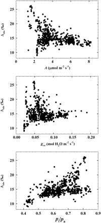The relationship between observed discrimination (Δobs) and net photosynthetic rate (A), stomatal conductance to H2O (gsw), and the ratio of partial pressure of CO2 in intercellular spaces and the atmosphere around the leaf (pi/pa). When pooled across months these parameters exhibited significant linear relationships with Δobs, including A (P <0.0001, r2=0.13) and pi/pa (P <0.0001, r2=0.29), but not gsw (P=0.24, r2=0.0006).