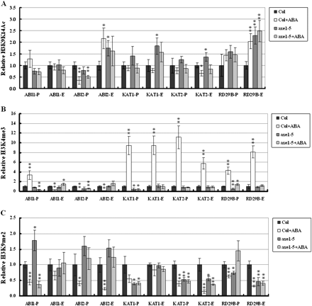 H3K9K14 acetylation, H3K4 trimethylation, and H3K9 dimethylation of ABA-inducible genes. Relative H3K9K14 acetylation and H3K4 trimethylation were determined by ChIP assays and normalized to an internal control (Tubulin 2). Relative H3K9 dimethylation levels were determined by ChIP assays and normalized to the input DNA. The value of Col wild type without treatment was arbitrarily given as 1. Data are the average of three biological replicates. Error bars represent standard errors. For ABA treatment, 2-week-old plants were treated with 100 μM ABA for 3 h. P indicates the promoter and E indicates the first exon. Asterisks mark values that are significantly different from the wild type without treatment (t test, *P <0.05, **P <0.01). The experiment was repeated three times with similar results.
