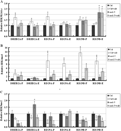 H3K9K14 acetylation, H3K4 trimethylation, and H3K9 dimethylation of abiotic stress-inducible genes. Relative H3K9K14 acetylation and H3K4 trimethylation were determined by ChIP assays and normalized to an internal control (Tubulin 2). Relative H3K9 dimethylation levels were determined by ChIP assays and normalized to the input DNA. The value of Col wild type without treatment was arbitrarily given as 1. Data are the average of three biological replicates. Error bars represent standard errors. For NaCl treatment, 2-week-old plants were treated with 250 mM NaCl for 6 h. P indicates the promoter and E indicates the first exon. Asterisks mark values that are significantly different from the wild type without treatment (t test, *P <0.05, **P <0.01). The experiment was repeated three times with similar results.