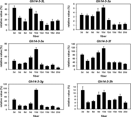 Expression of Gh14-3-3 genes during fibre development. Relative values of Gh14-3-3 gene expression in developing fibres of cotton are shown as a percentage of GhUBI1 expression activity. 3d, 5d, 6d, 9d, 10d, 12d, 15d, 18d, and 20d refer to 3, 5, 6, 9, 10, 12, 15, 18, and 20 DPA fibres.
