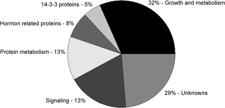 Venn diagram of classification of the isolated Gh14-3-3 interactors. The proteins identified in cotton fibres by yeast two-hybrid screening were classified into seven classes.