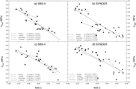 Relationship of the normalized water index 3 (NWI-3) with leaf water potential (ψleaf) and soil water potential (ψsoil) in a subset of sister lines (SBS-II) and synthetic derivatives lines (SYNDER) grown under water-stressed conditions during 2008.